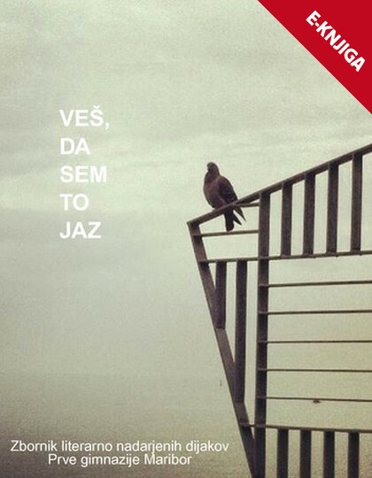 VEŠ, DA TO SEM JAZ e-knjiga