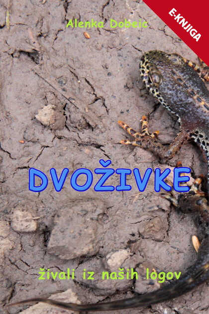 DVOŽIVKE e-knjiga