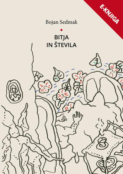 BITJA IN ŠTEVILA e-knjiga